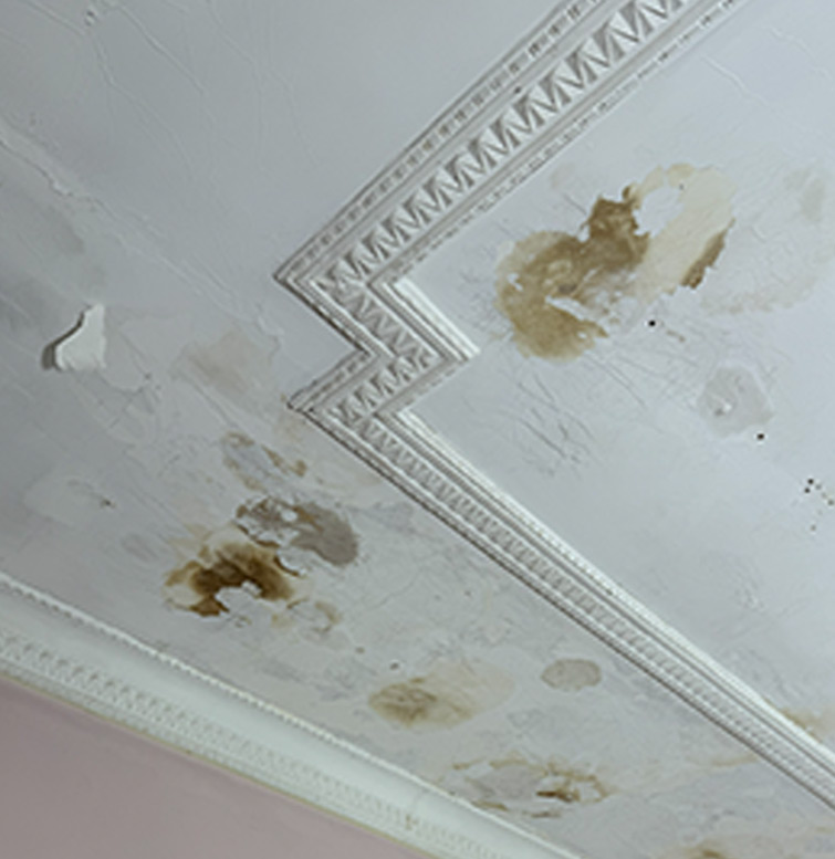 Period Ceiling Restoration in Mayanup Defect Repair before